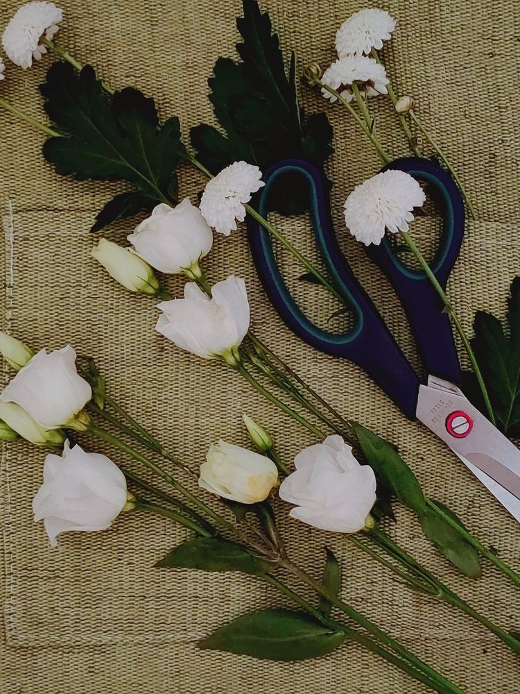 Фотография автора Алёна С-К