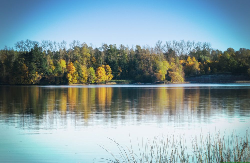 Фотография автора Lija Mežecka
