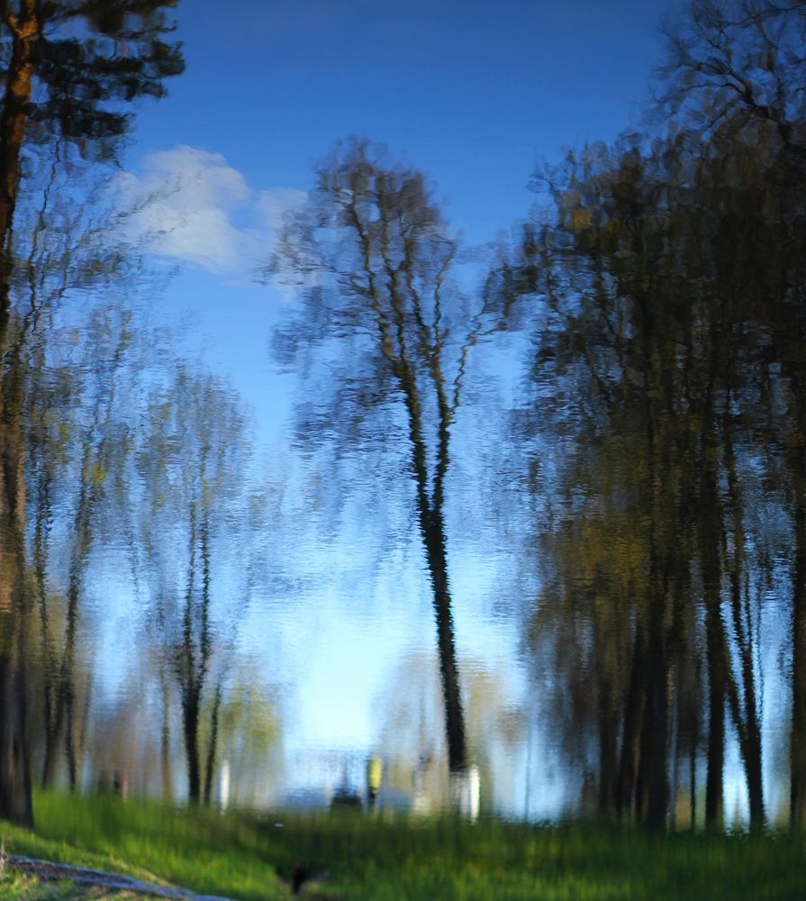 Photograph by Антон Иванов