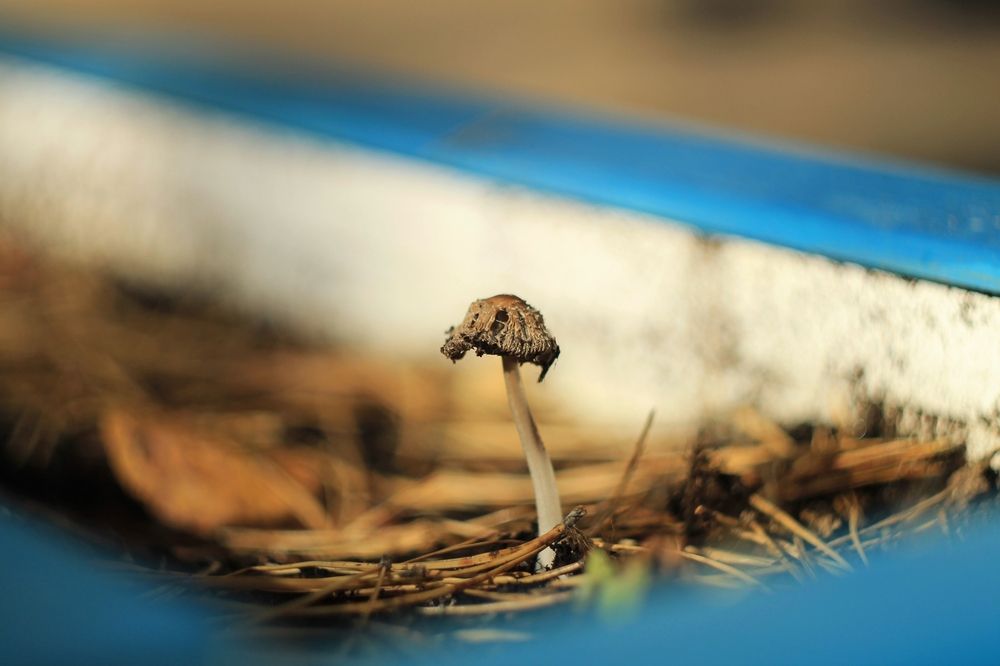 Photograph by Антон Иванов