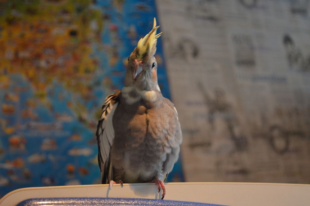 Photograph by Анатолий Семёнов