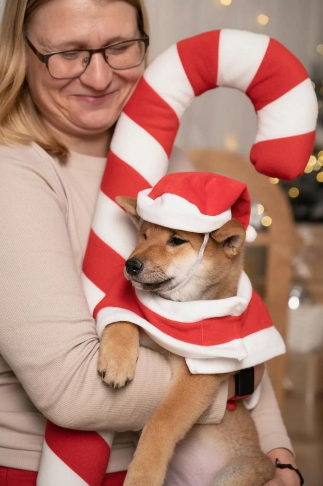 Photograph by Светлана Кудянова