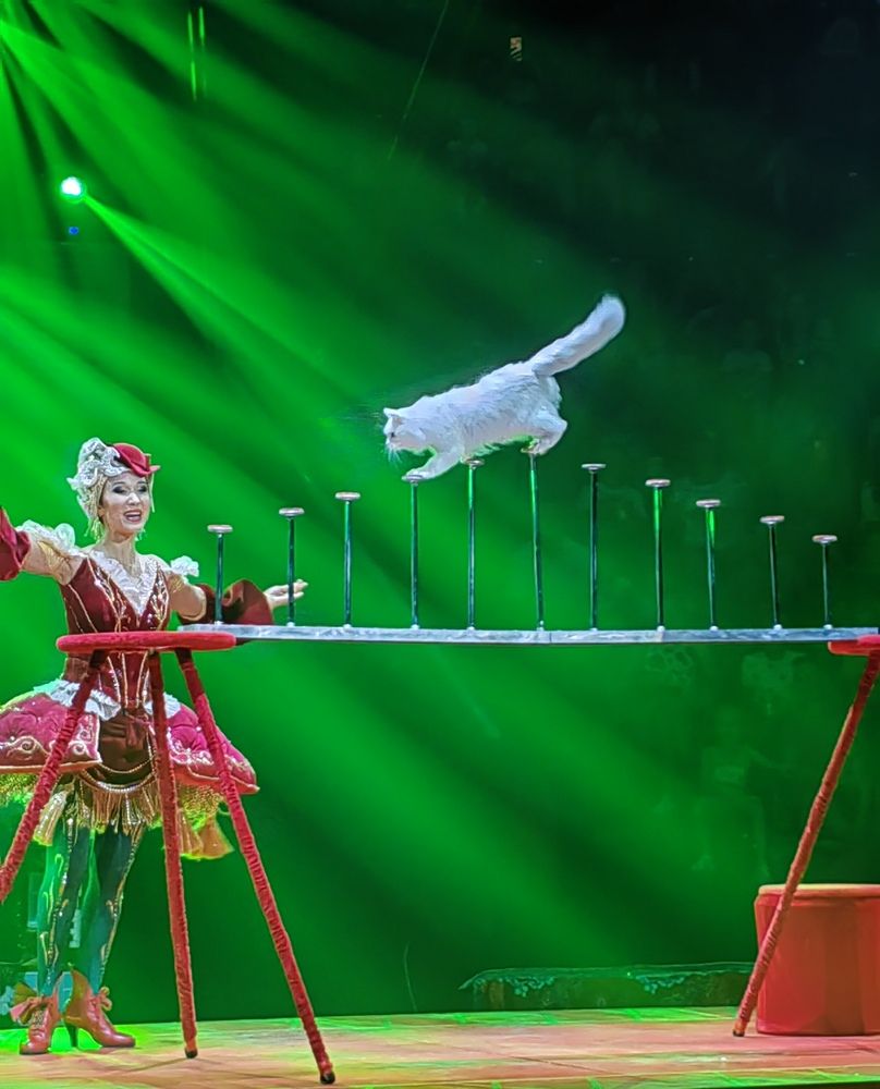 Photograph by Алёна С-К