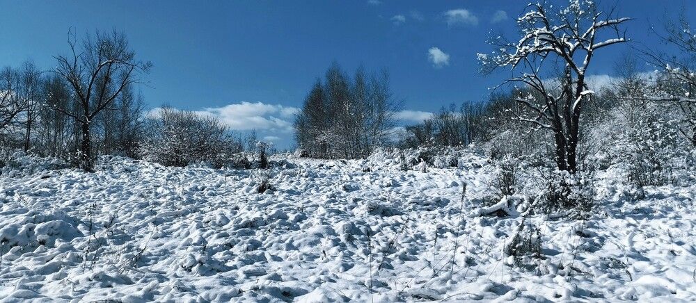 Photograph by Сергей Юрьевич