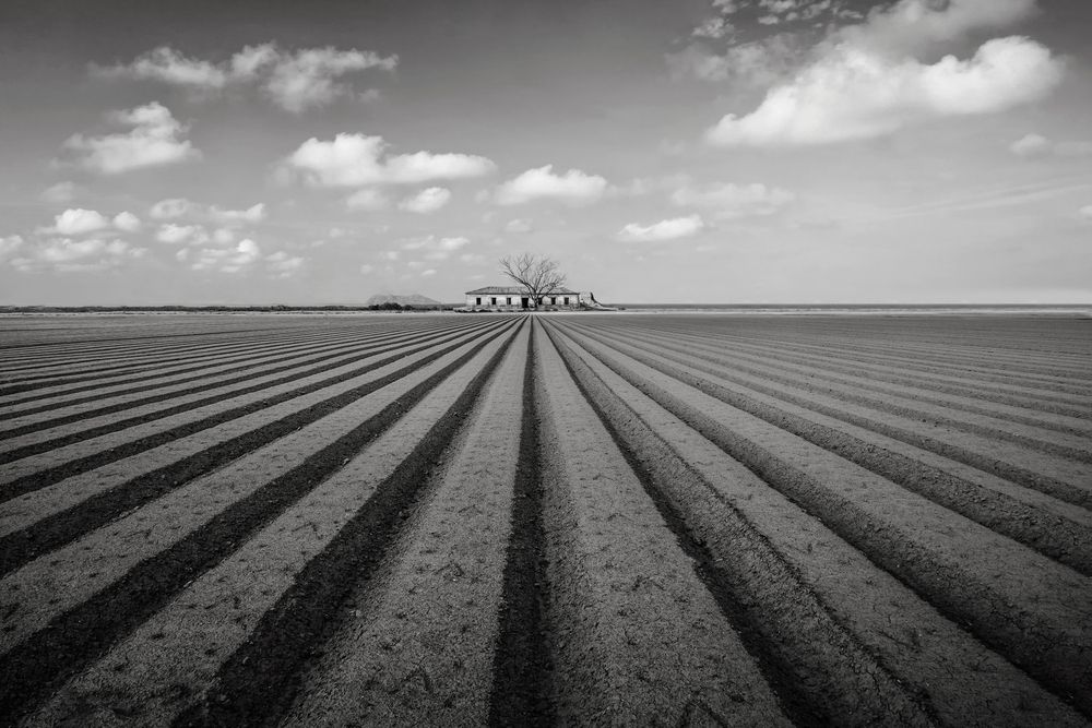 Photograph by Марина Ческис