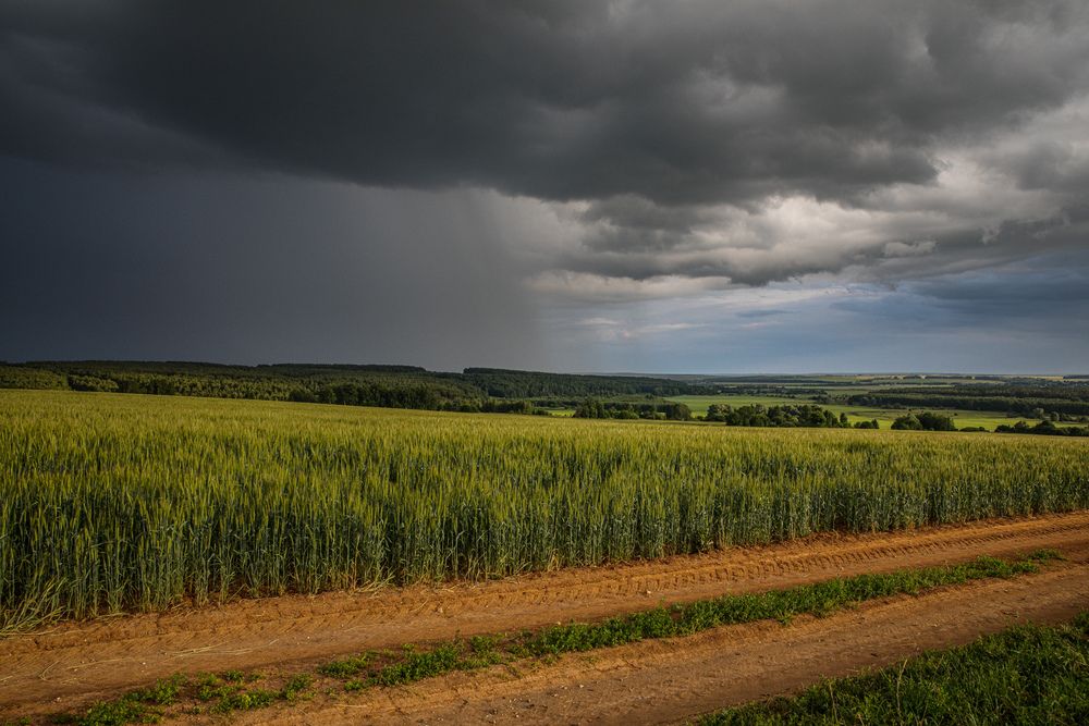 Photograph by Абашкин Сергей