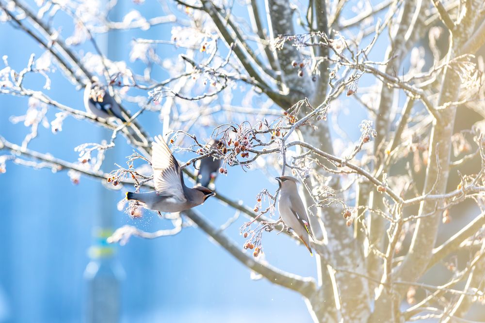 Photograph by Андрей Шабанов