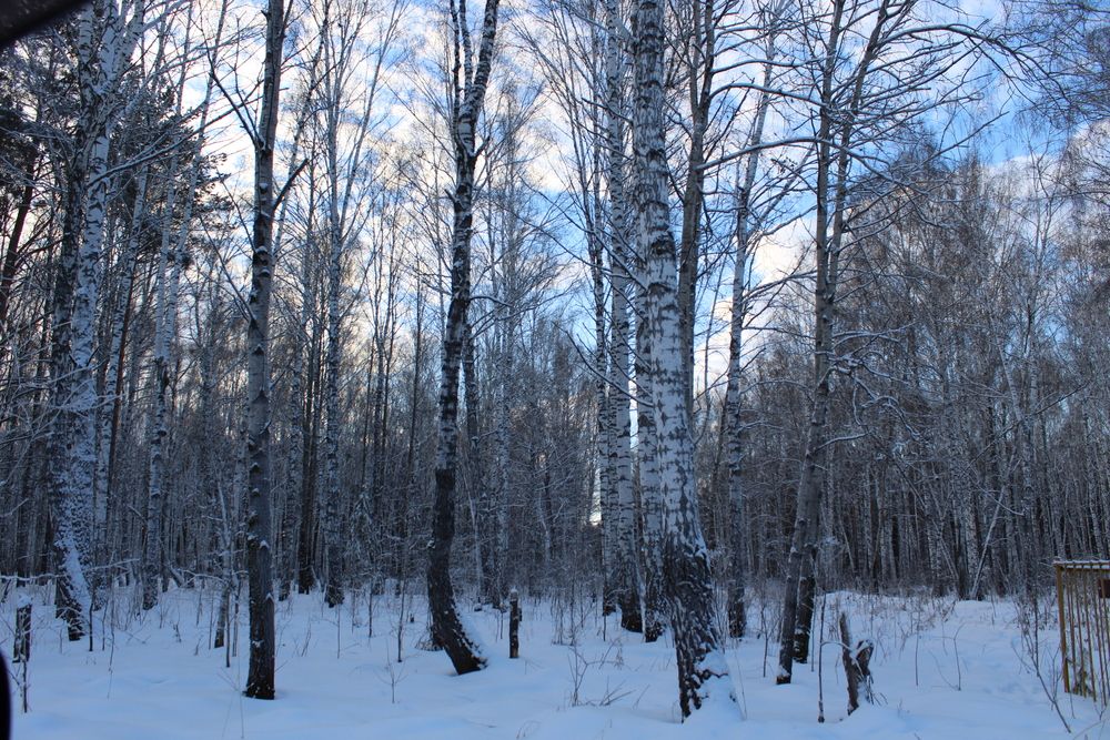 Photograph by Наталия