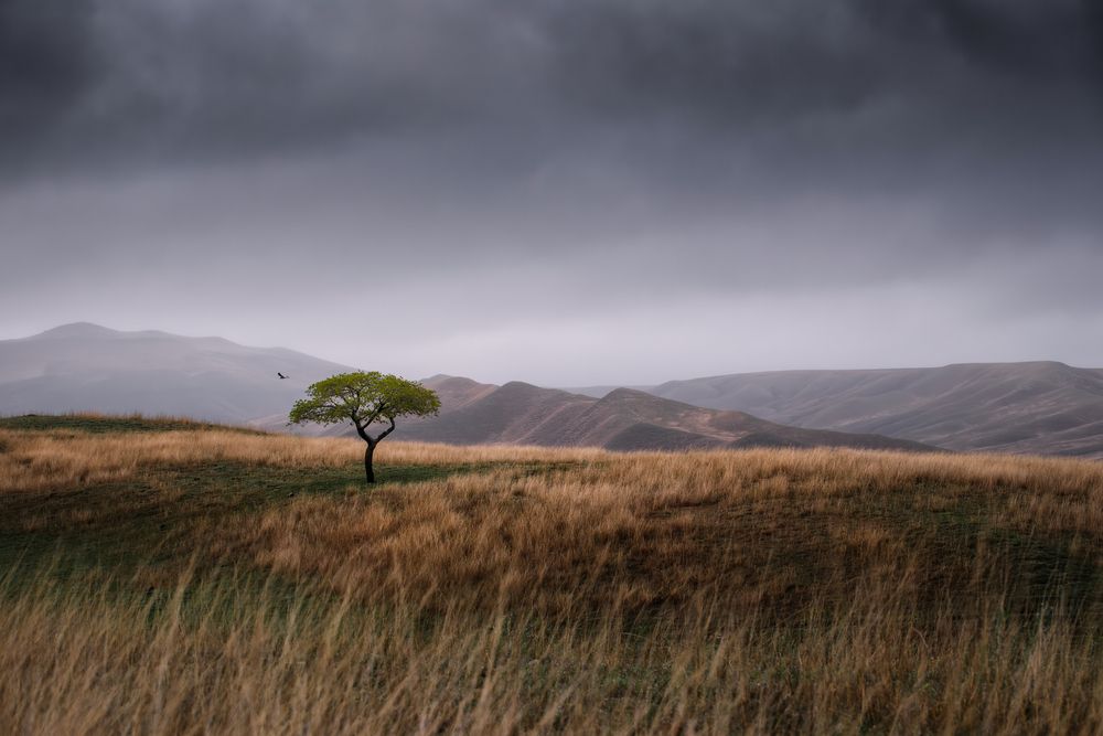 Photograph by Георгий Бычковский