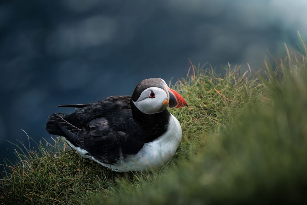 Photograph by Георгий Бычковский