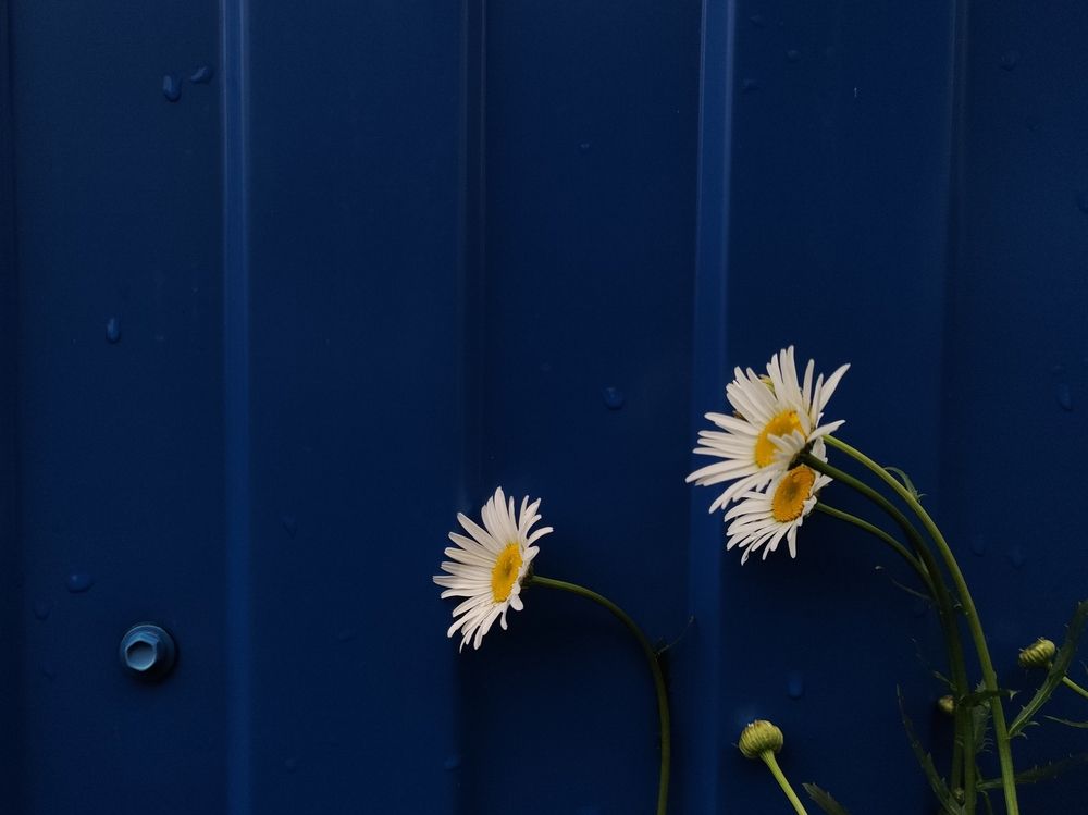 Photograph by Калюнова Наталья