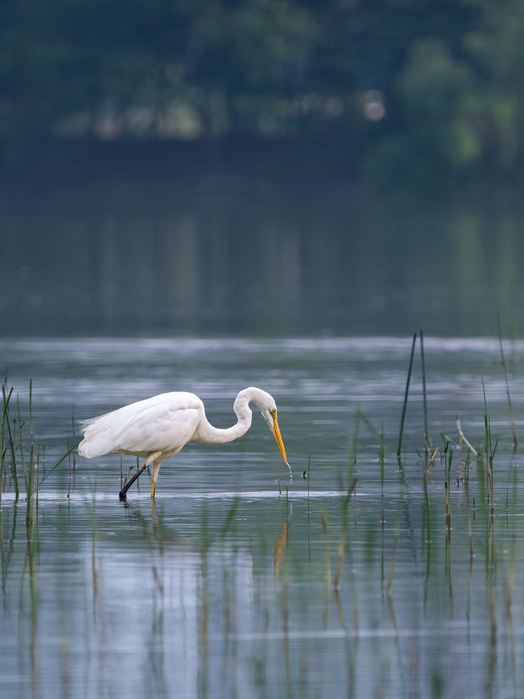 Photograph by Мозжухин Максим