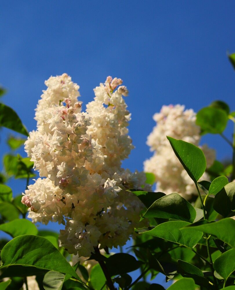 Photograph by ОЛЬГА ДЕРБЕНЕВА