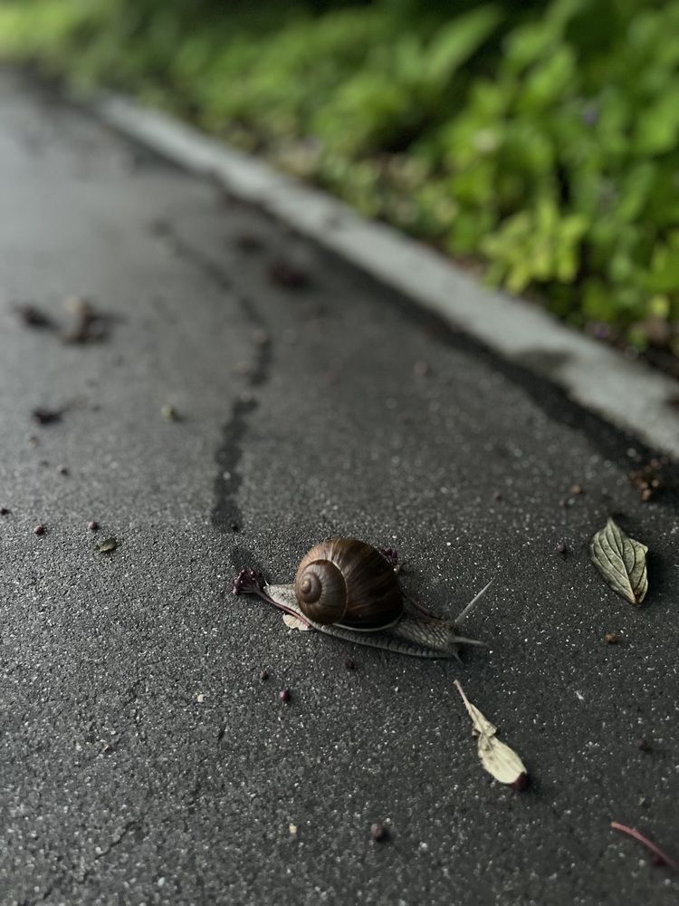 Photograph by Оксана Гуляева