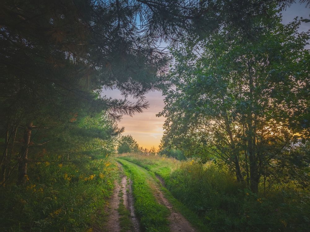 Photograph by Кирилл Сидоров