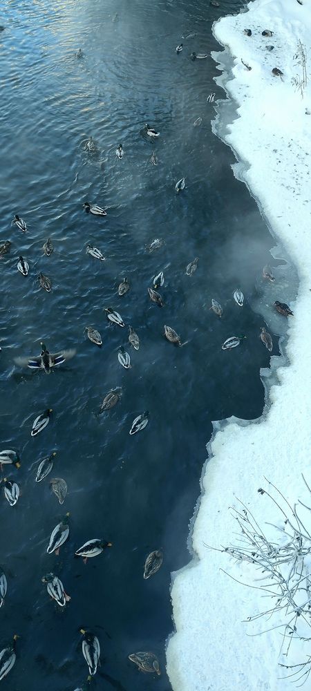 Фотография автора Юлия Стеценко