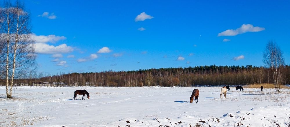 Фотография автора Valerya Vasileva