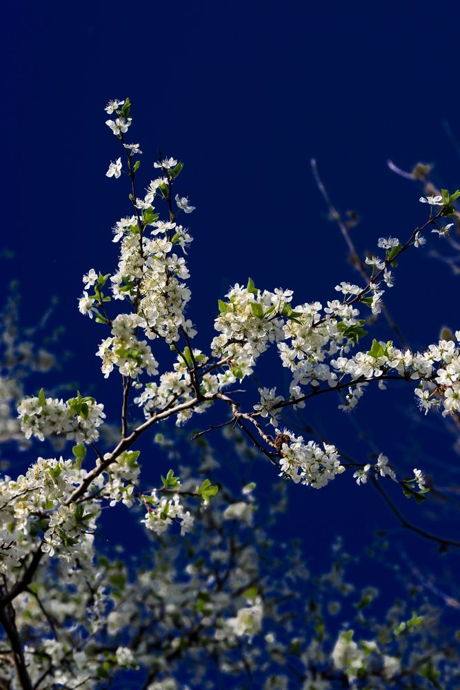 Photograph by Руслана Ковалевская