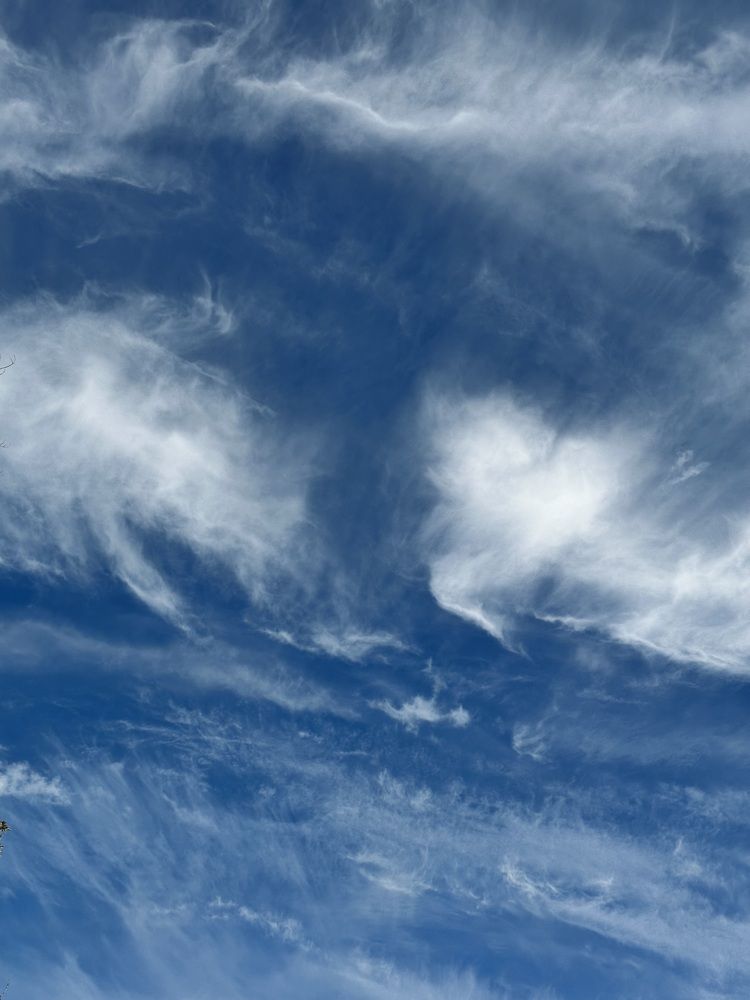 Photograph by Алёна Стародубцева