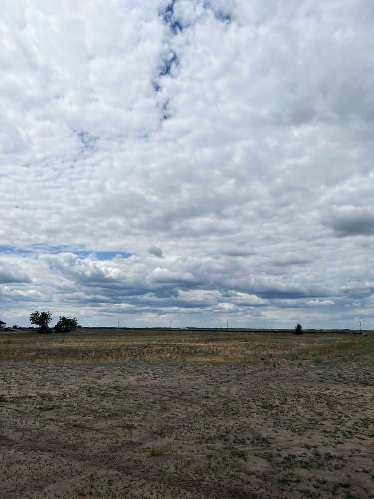 Photograph by Алёна Стародубцева