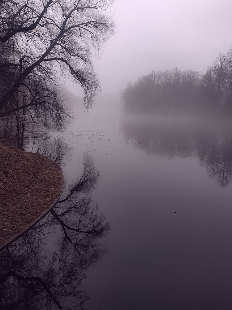 Photograph by Inna Evseeva