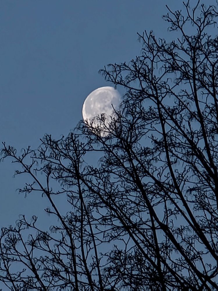 Фотография автора Наташа Данилова
