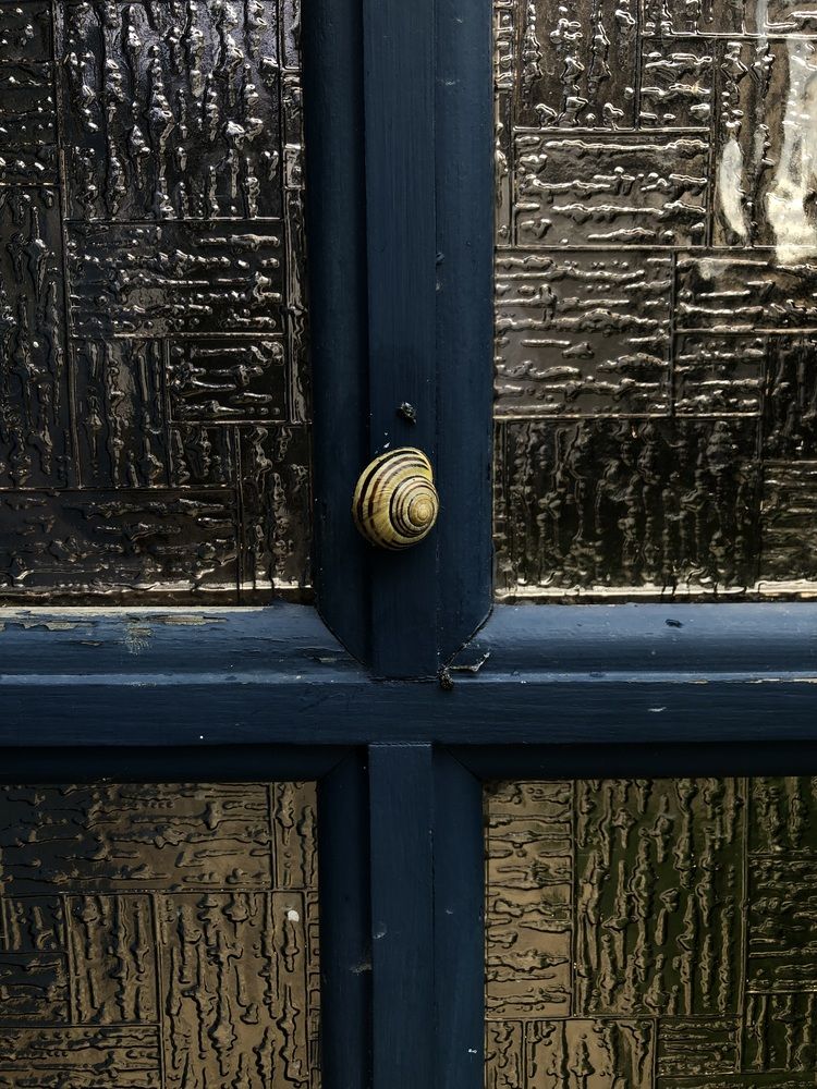 Photograph by Valentina Jegorova