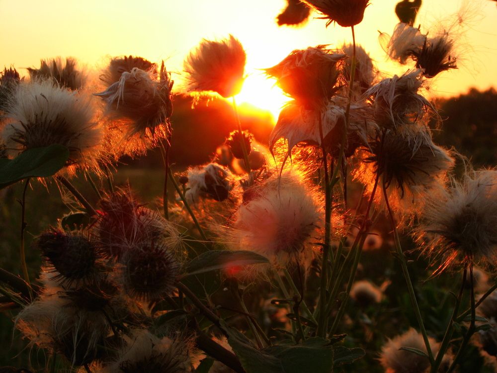 Photograph by Светлана Лебедева