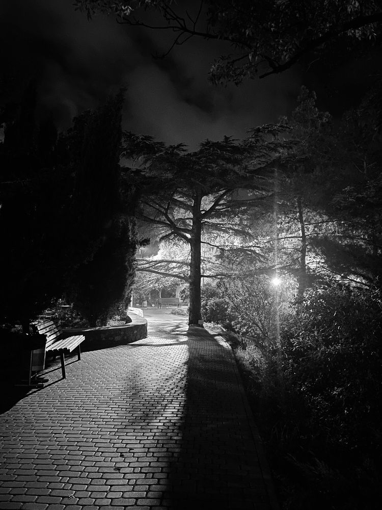 Photograph by Светлана Лебедева