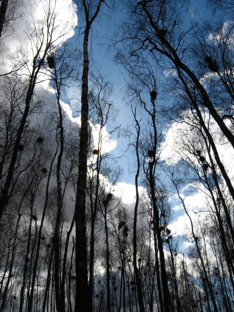 Photograph by Светлана Лебедева