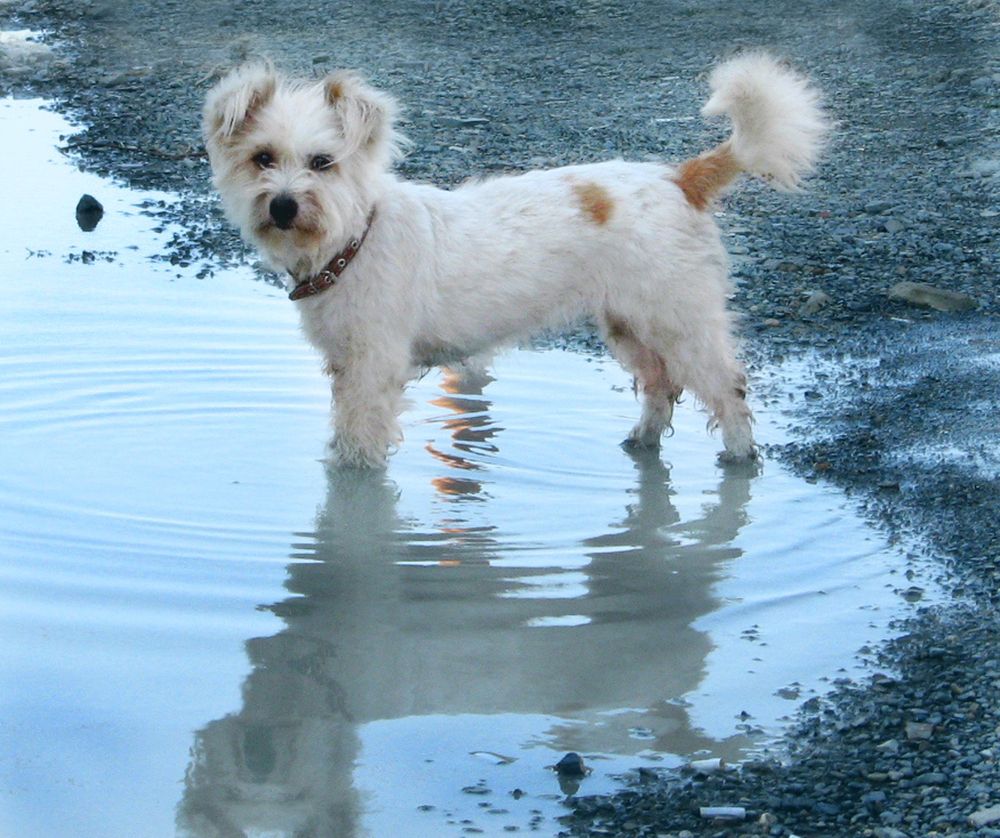 Photograph by Светлана Лебедева