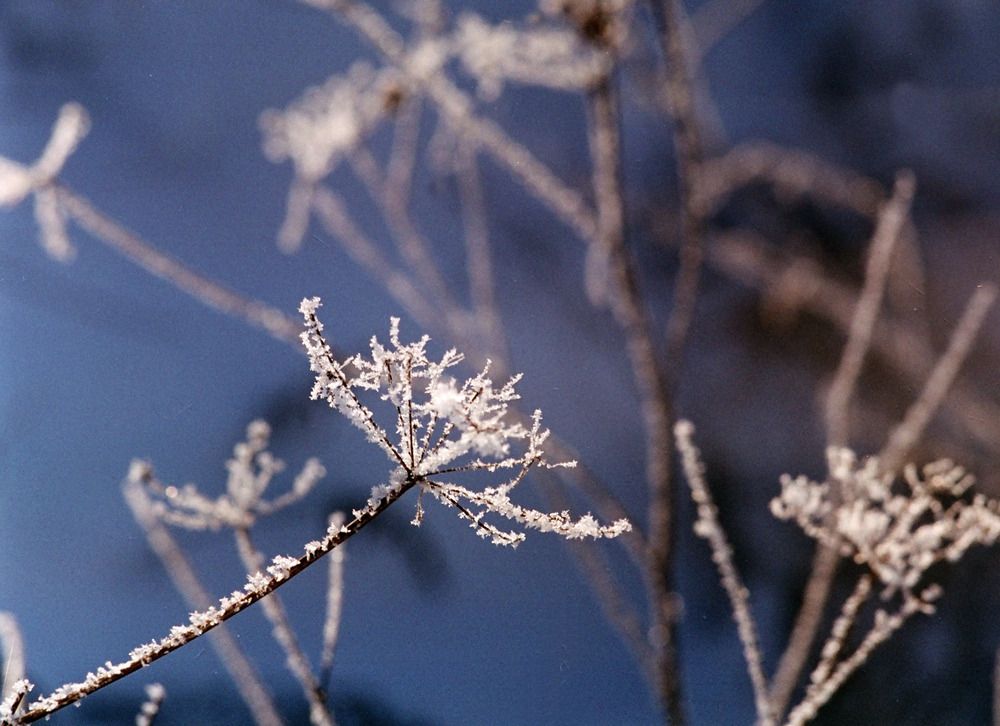 Photograph by Светлана Лебедева