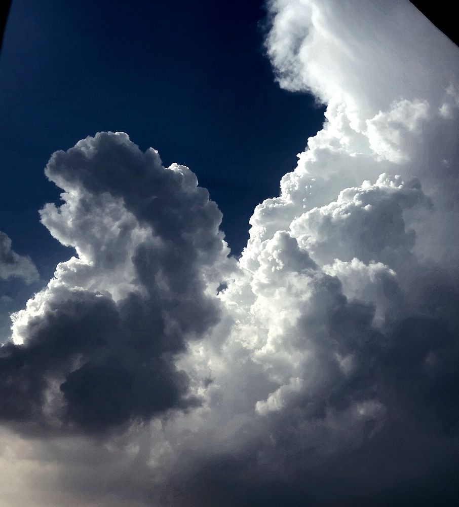 Photograph by Soha Hossam