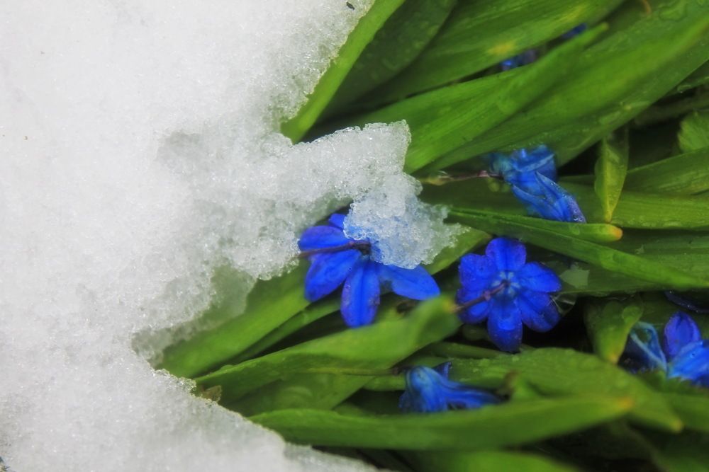 Photograph by Алла Бойко