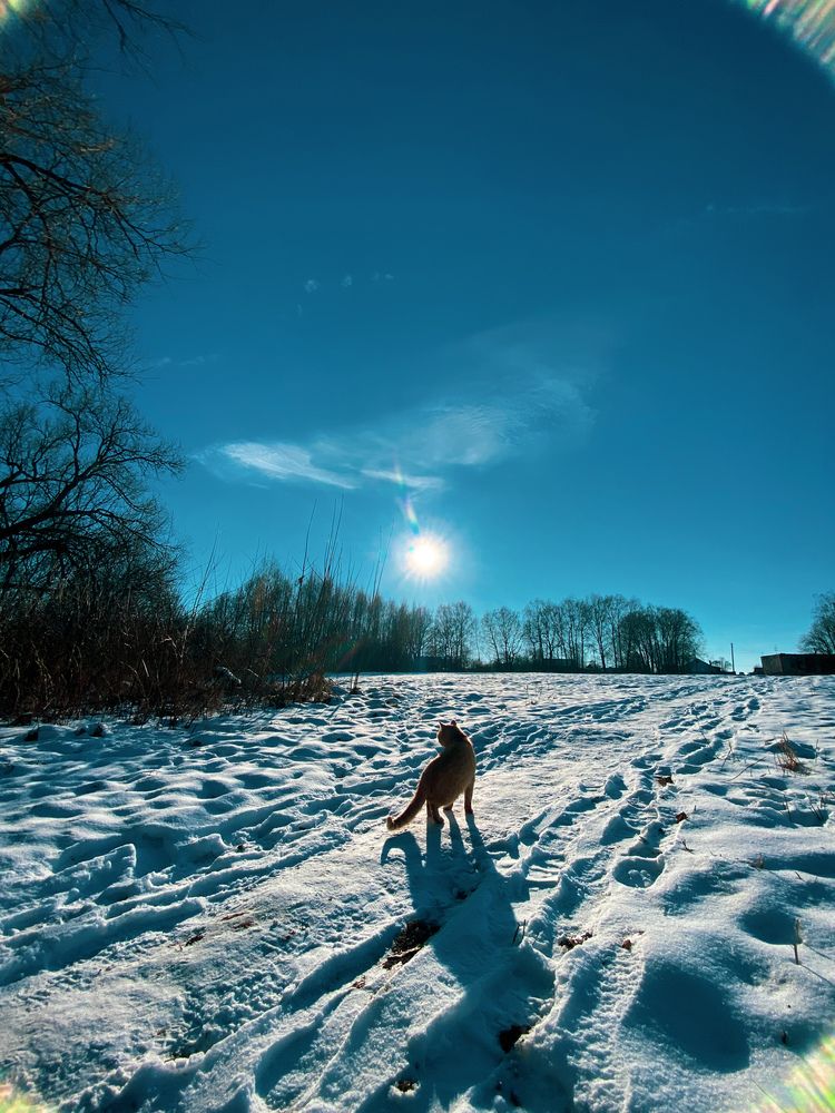 Photograph by Руслана Ковалевская
