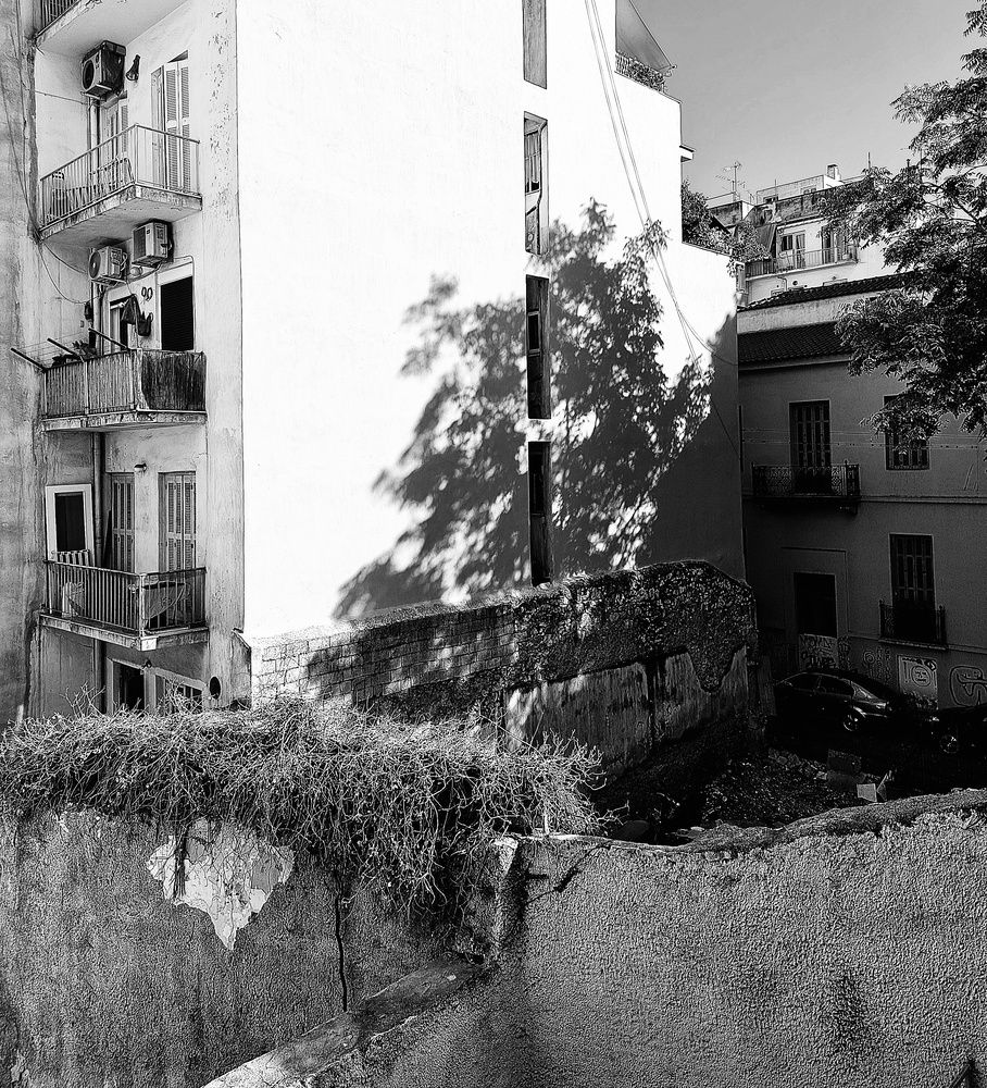 Фотография автора Ольга Лянная