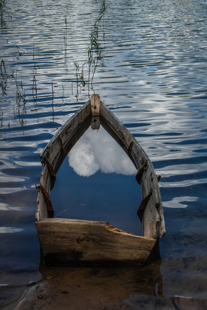 Фотография автора Виктория Трущенко
