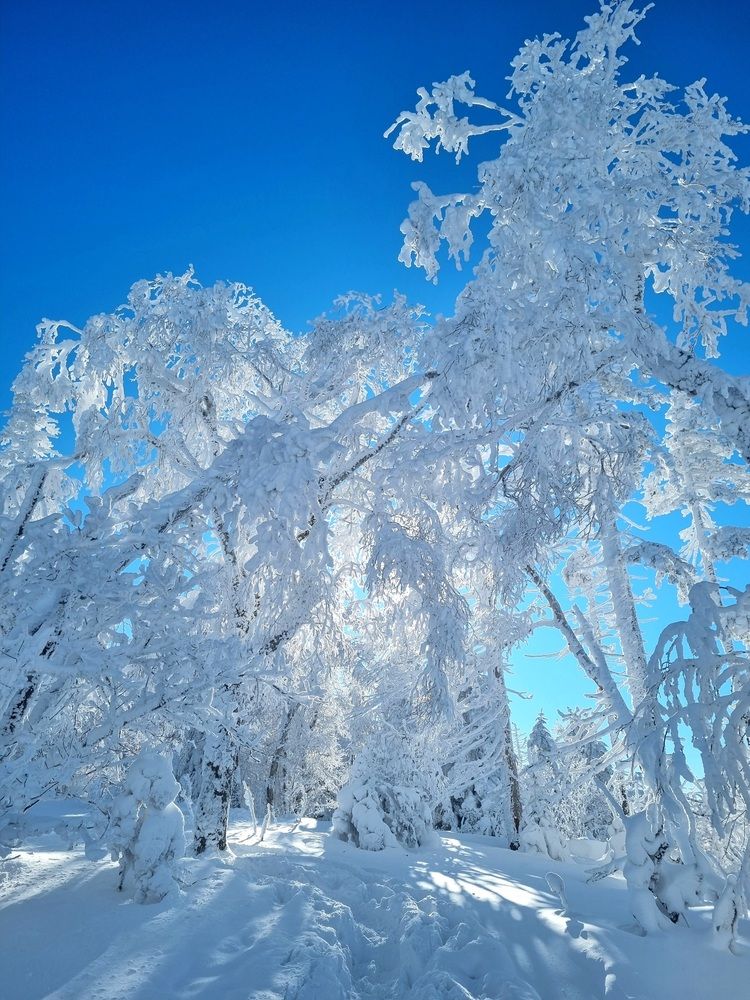 Photograph by Татьяна Дорожкина