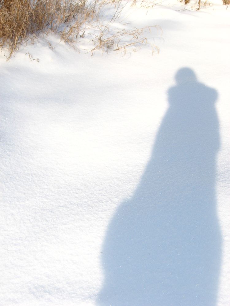 Photograph by Светлана Лебедева