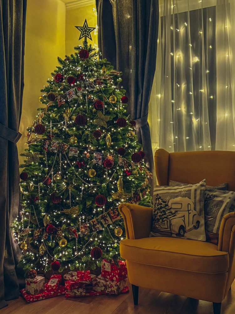 Фотография автора Елена Меньшикова