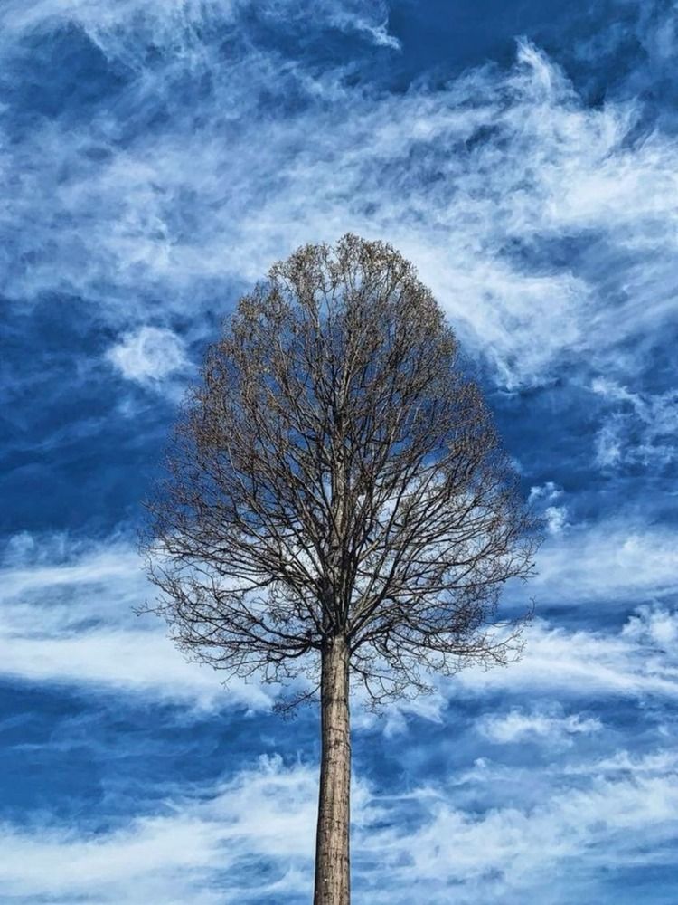 Photograph by Юлия Сысоева