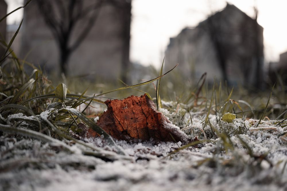 Photograph by  Kotik photo