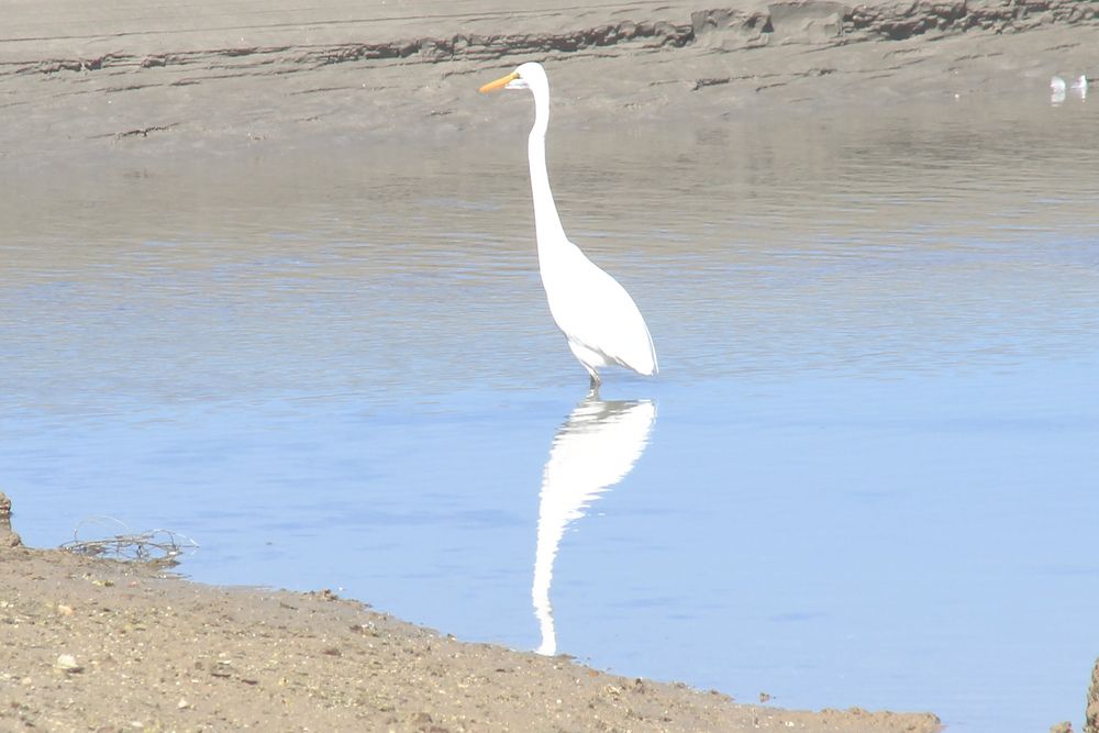 Photograph by Waleed Yousuf Alwahaibi