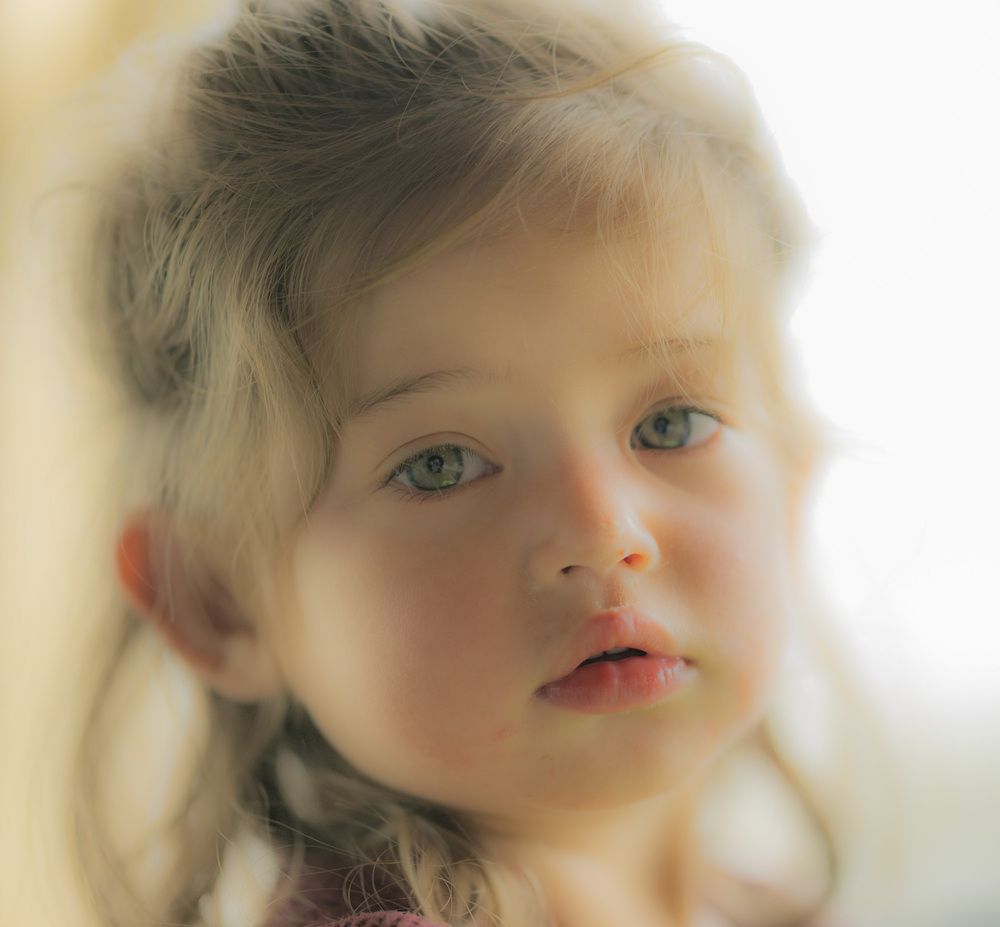The Cherub