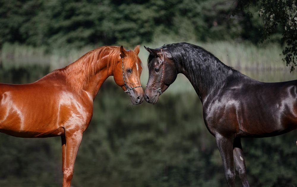 Photograph by Ольга Смирнова