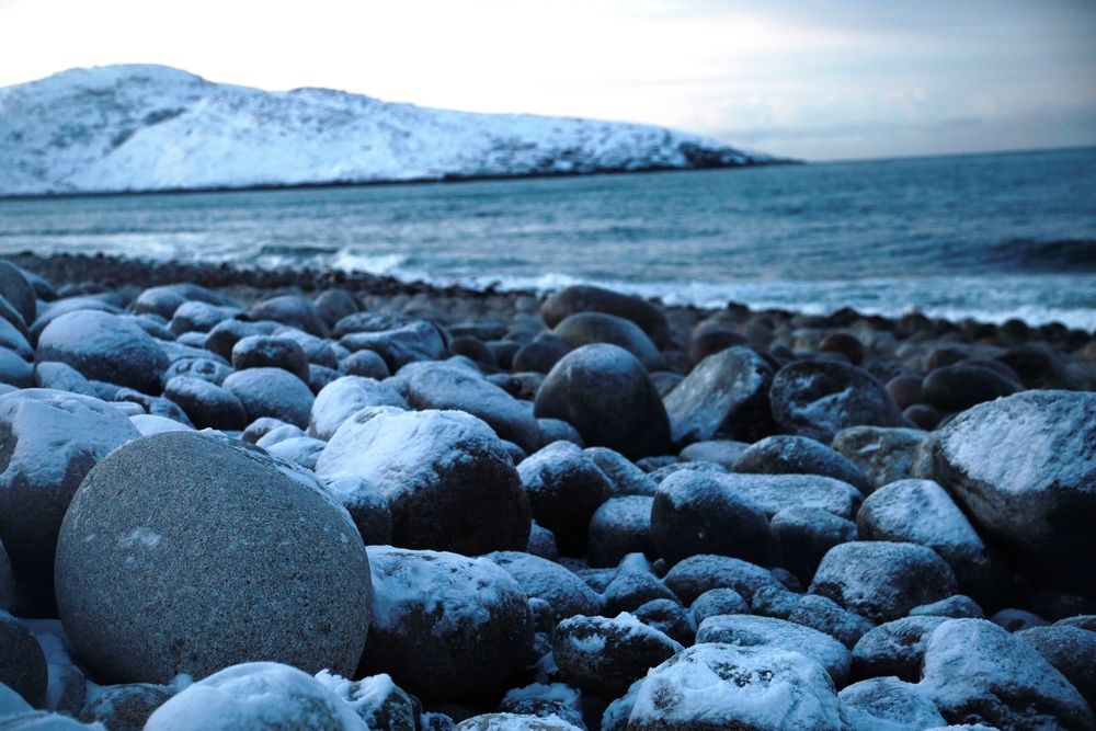 Photograph by Елена Шишкина