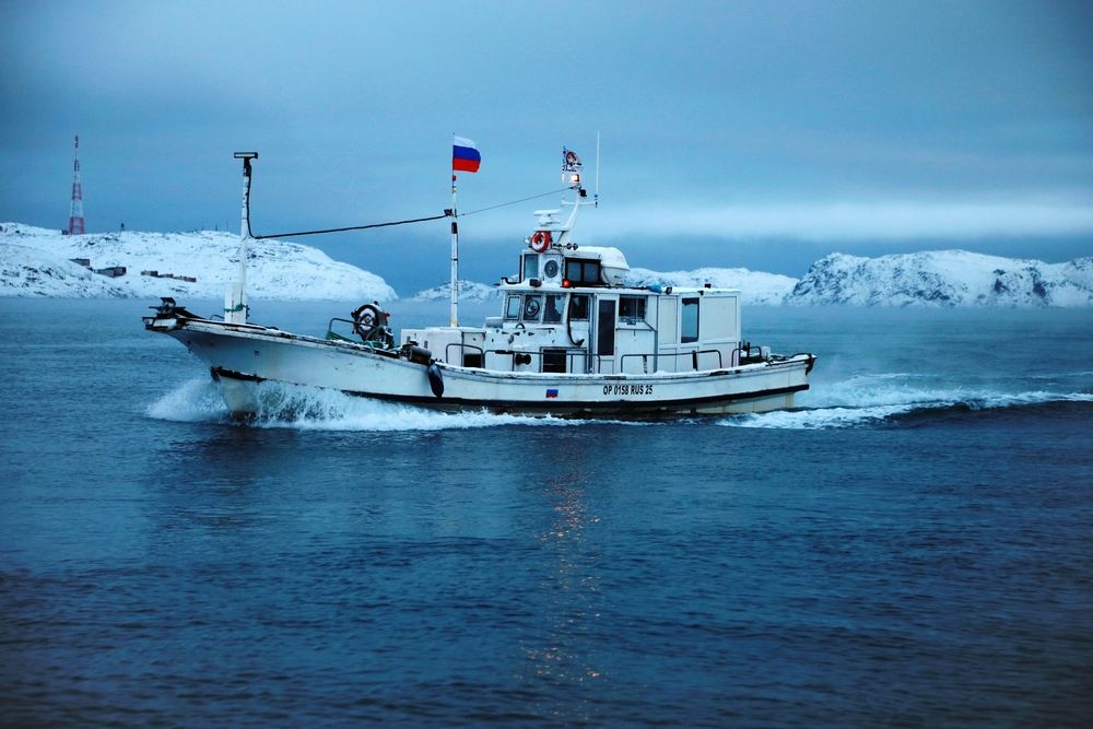 Photograph by Елена Шишкина