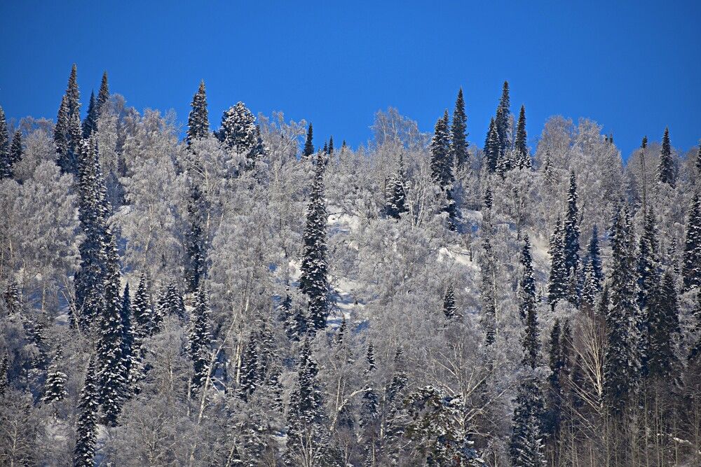 Photograph by Александр Прядко