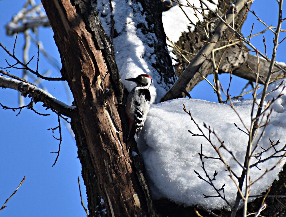 Photograph by Александр Прядко