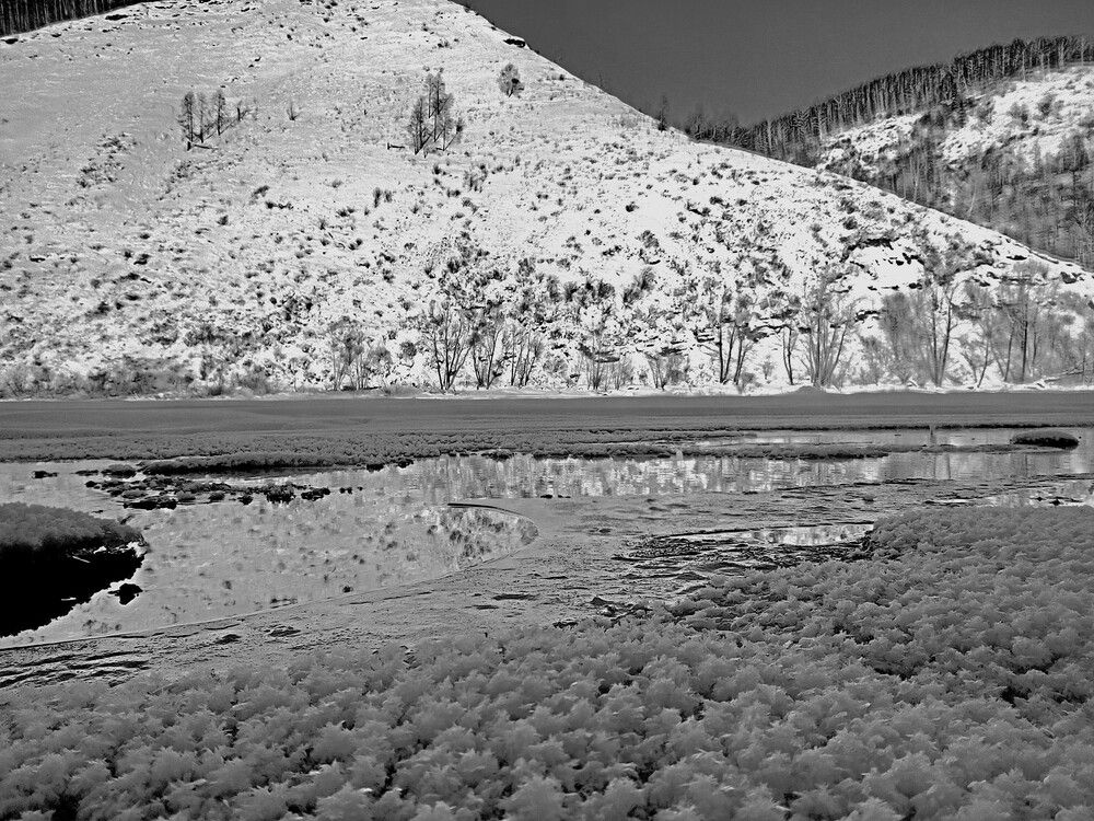 Photograph by Александр Прядко